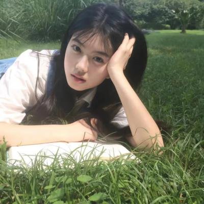 大象与小蝶物语